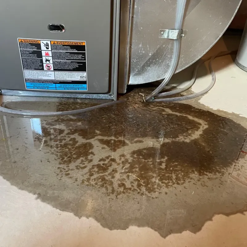 Appliance Leak Cleanup in Charles Mix County, SD